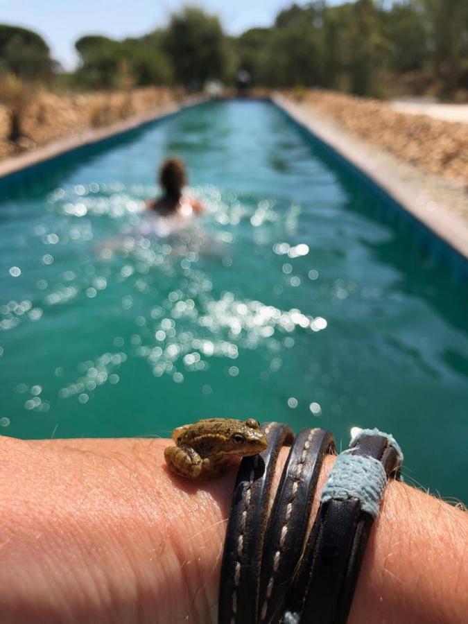 Sublim' Ecolodge Abela Екстериор снимка
