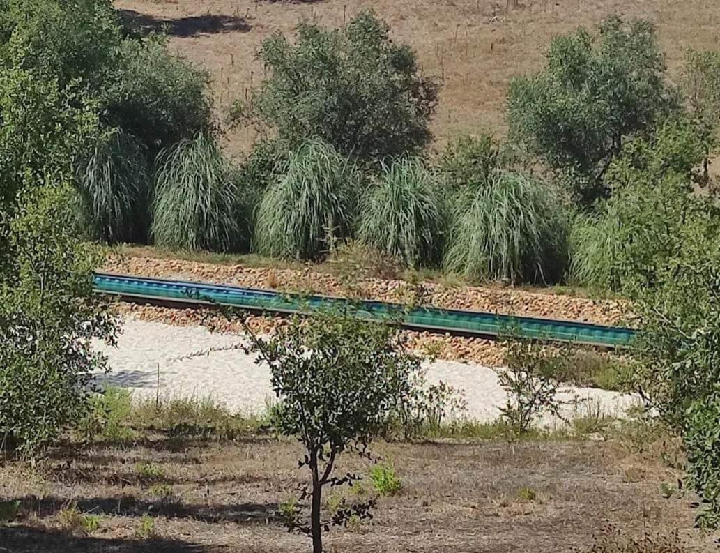 Sublim' Ecolodge Abela Екстериор снимка